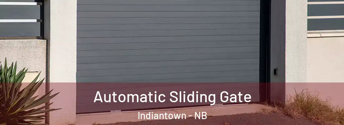  Automatic Sliding Gate Indiantown - NB