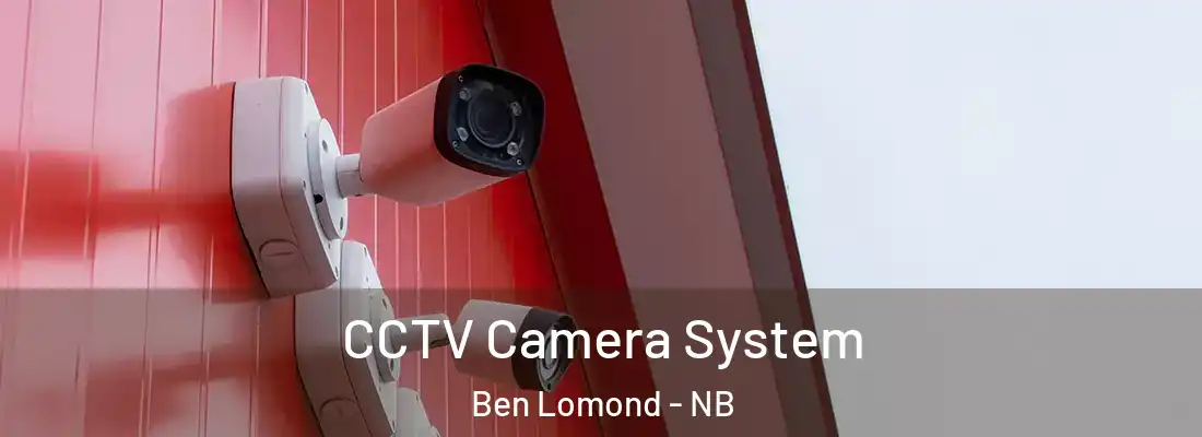  CCTV Camera System Ben Lomond - NB