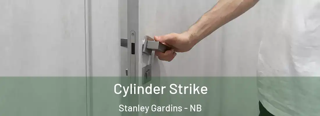  Cylinder Strike Stanley Gardins - NB