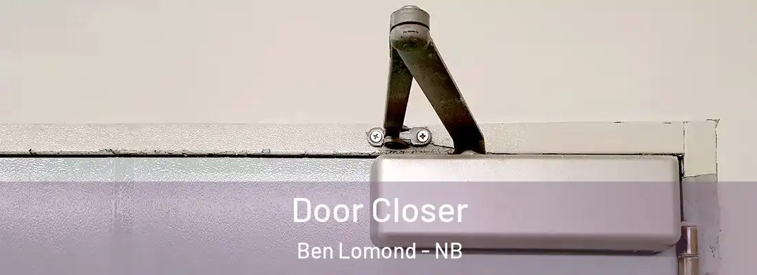  Door Closer Ben Lomond - NB
