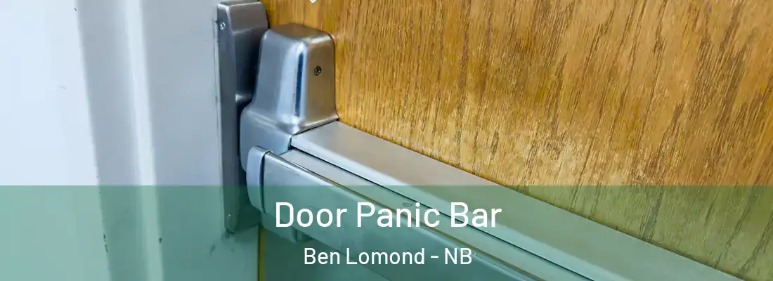  Door Panic Bar Ben Lomond - NB