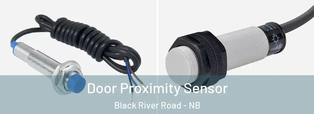 Door Proximity Sensor Black River Road - NB