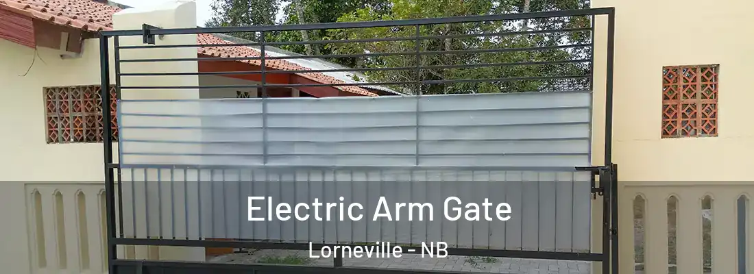  Electric Arm Gate Lorneville - NB
