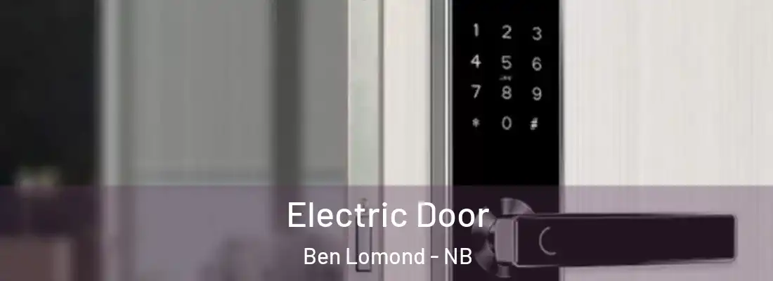  Electric Door Ben Lomond - NB