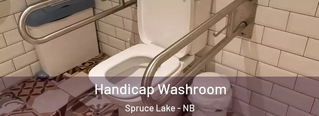  Handicap Washroom Spruce Lake - NB