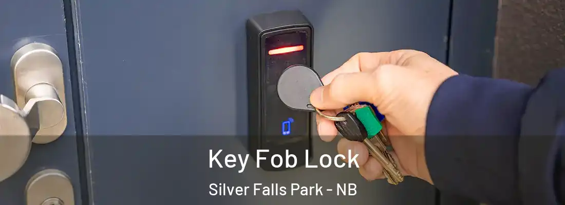  Key Fob Lock Silver Falls Park - NB