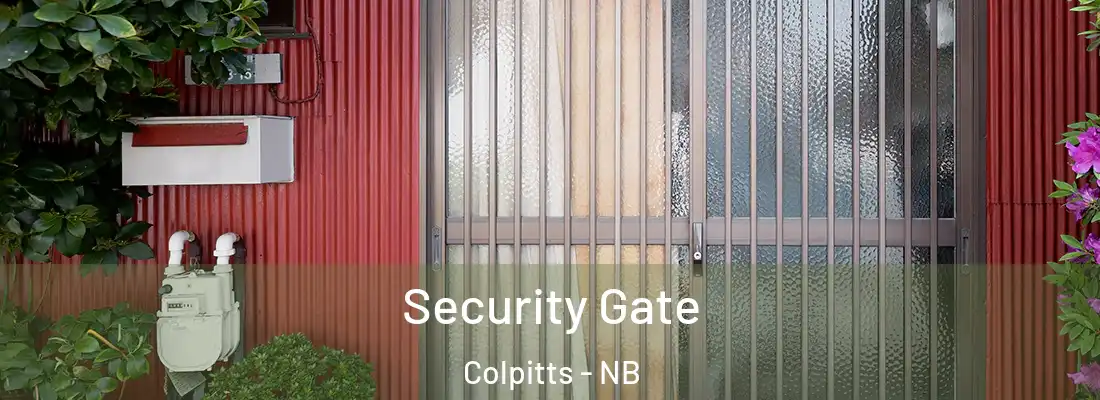  Security Gate Colpitts - NB
